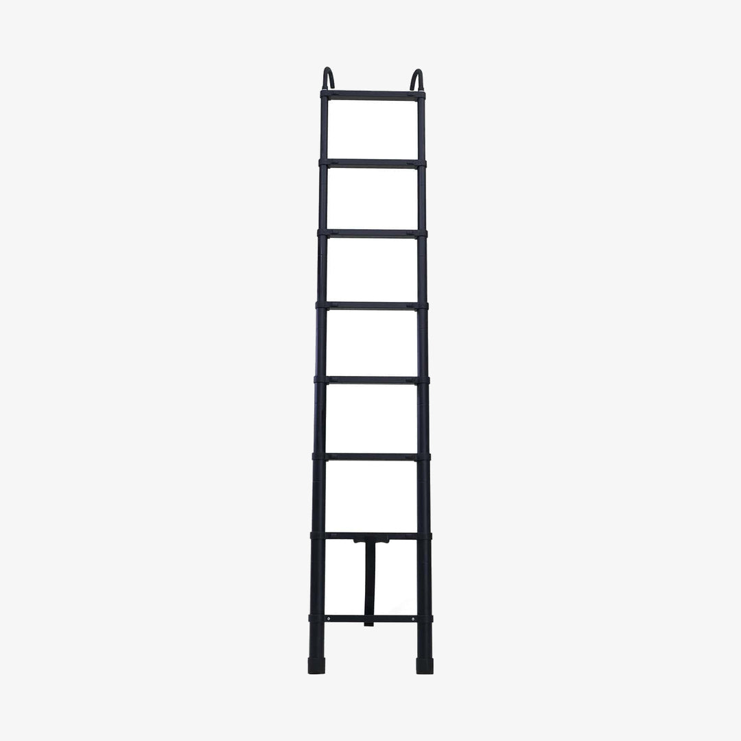 REV LADDER