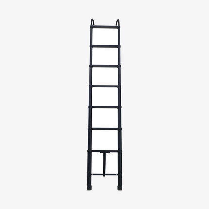 REV LADDER