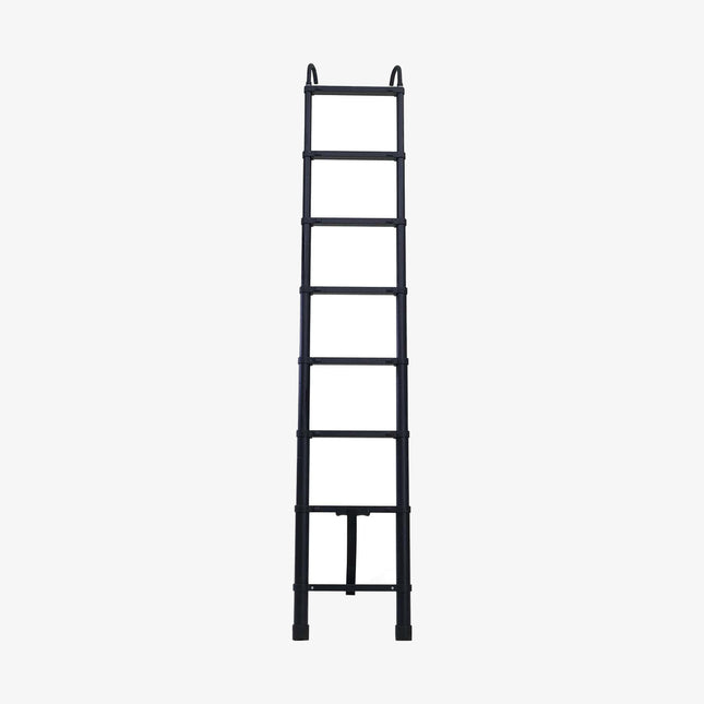 REV LADDER