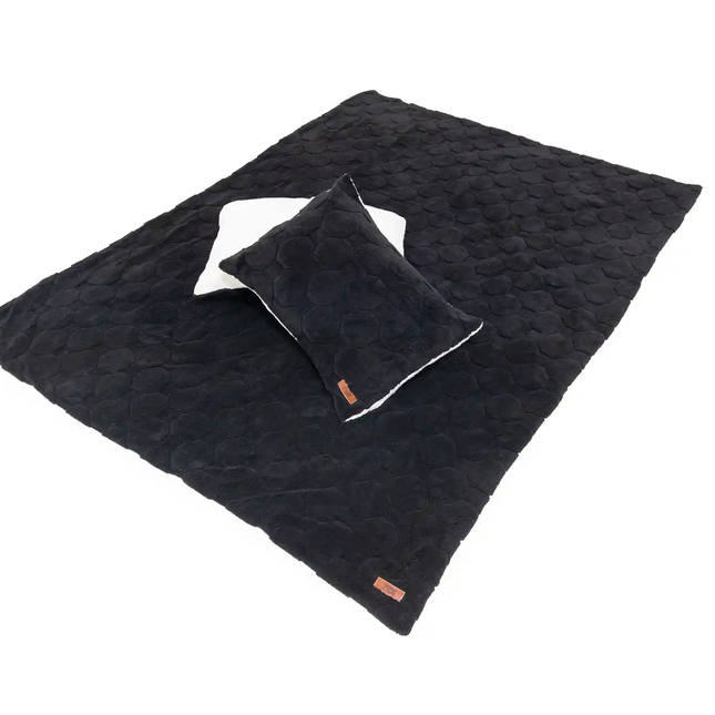 Cloud Comforter & Pillow Case Set