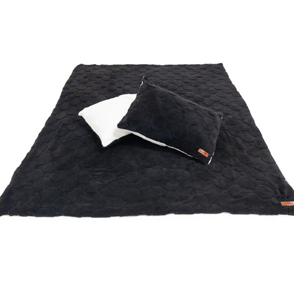 Cloud Comforter & Pillow Case Set