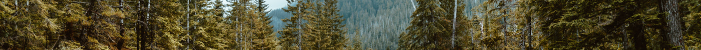 <h2>Join the Trail Club</h2>